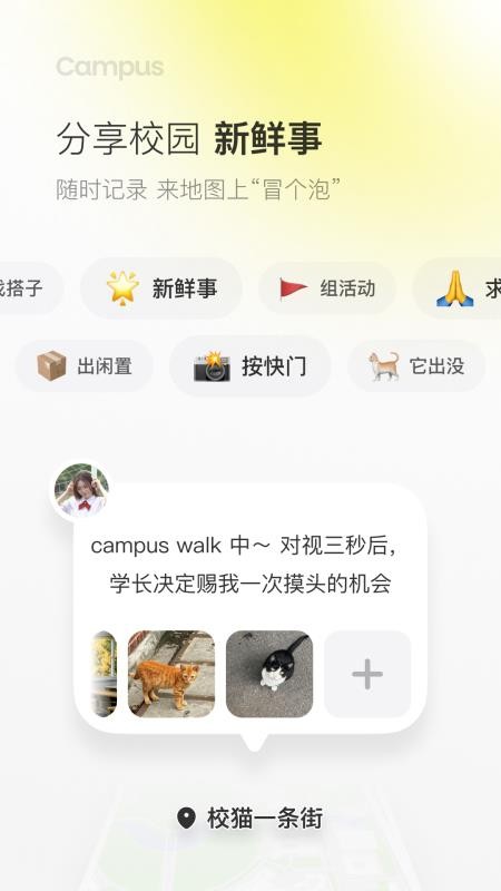 三条电脑版支持Mac吗