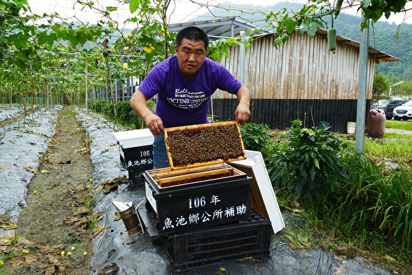 泡泡聊天最新版官方下载与更新日志一览