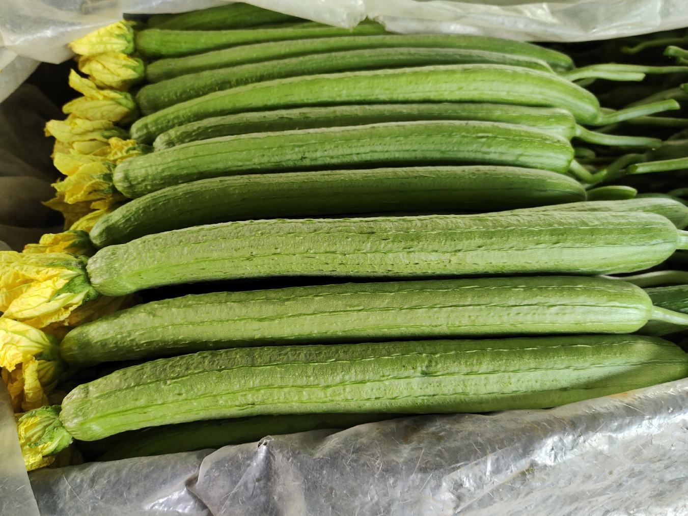 泡泡聊天文件传输大小限制与格式支持列表