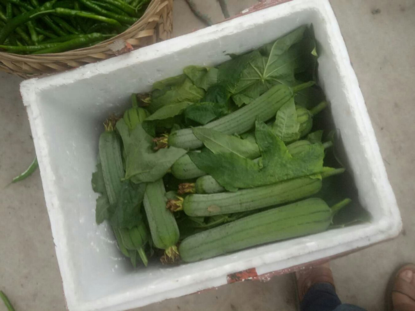 三条下载完提示内存不足